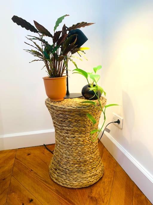 2 Bedrooms - Paris Centre - Champs Elysees المظهر الخارجي الصورة